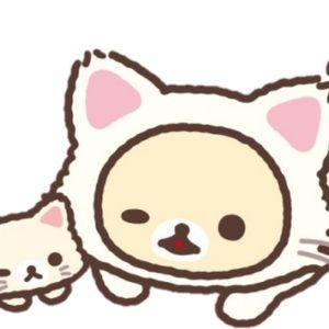 Meet your Posher, Ana